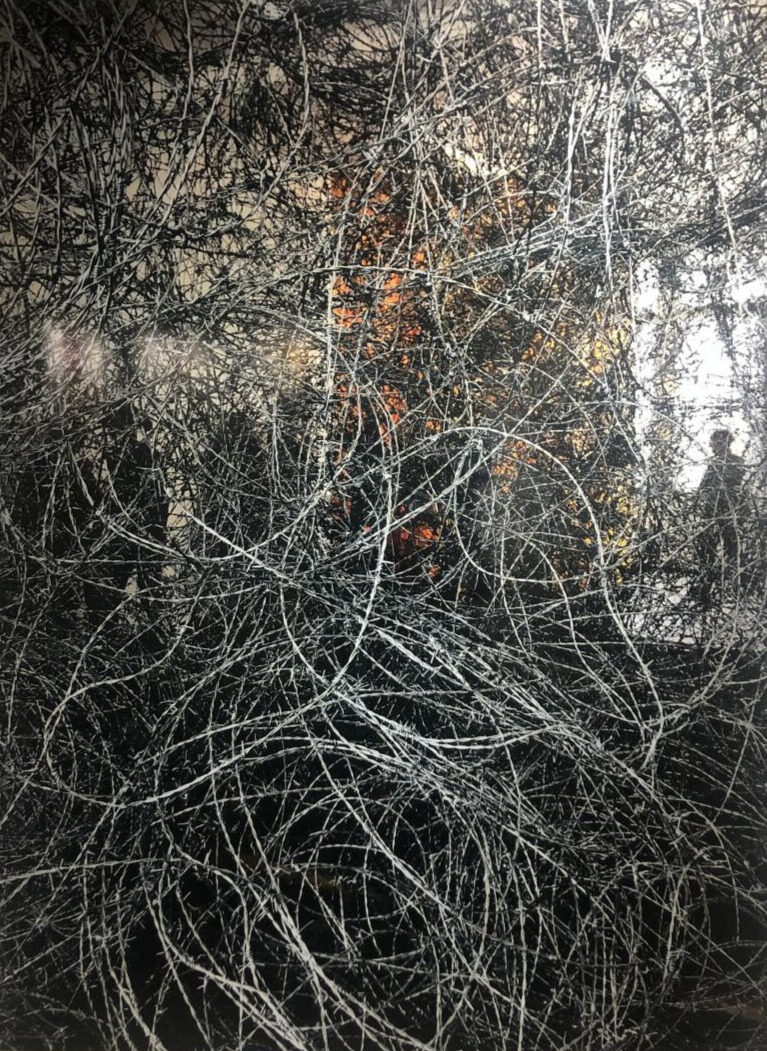 Obra de Alejandra Mastro. Cortesía